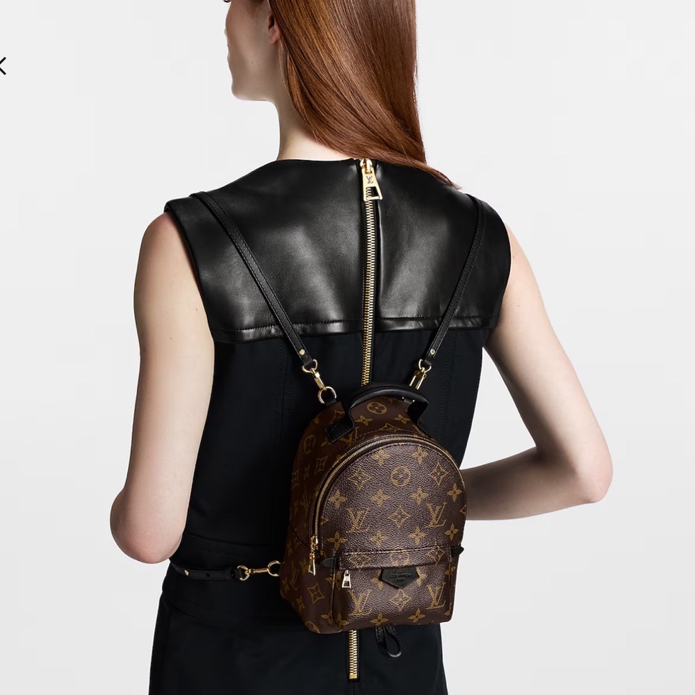 BRAND NEW palm springs mini louis vuitton backpack! With tags and dust bag